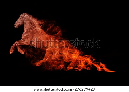 beautiful image of a wild horse.. animal kingdom. out of the flames. wildlife picture.  tattoo.
running horse, zoo