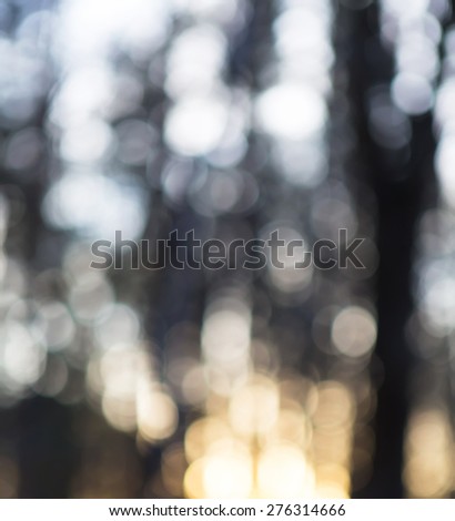Abstraction of forest blurred background. Colorful defocused picture.