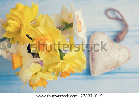 Bright yellow narcissus and decorative heart on blue  painted wooden planks. Selective focus. Toned image.