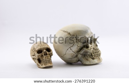 Still Life with a Skull concept on the art.