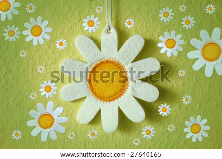 background with a camomile