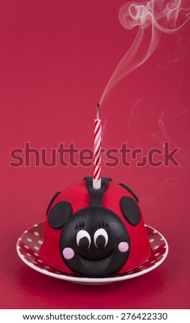 birthday cake like a ladybird
