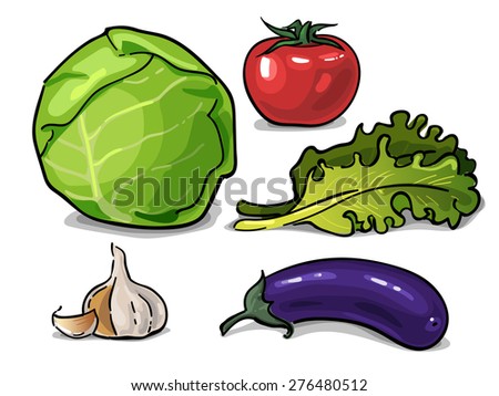 Cabbage, eggplant, lettuce, tomato and garlic vegetables drawn vector graphic set isolated on a white background