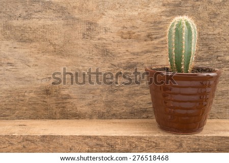 Background of wood with cactus 