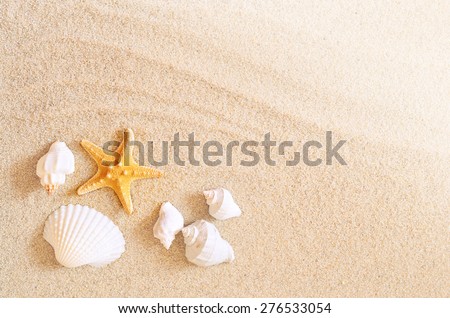 Starfish on the seashore and summer beach Royalty-Free Stock Photo #276533054