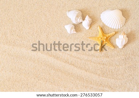 Starfish on the seashore and summer beach Royalty-Free Stock Photo #276533057