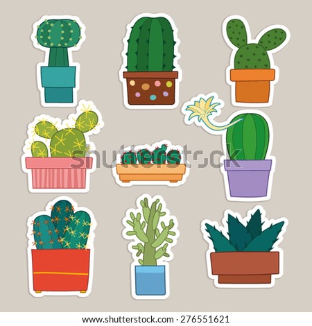 cactus collection vector illustration