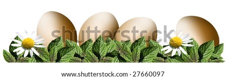 flowers, easter decoration - isolated, tiff