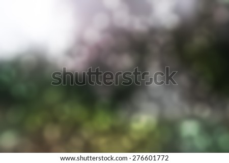 Abstract Blur of  Sakura tree in the park with Bokeh
