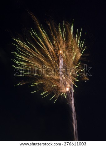 Fireworks in the night sky resembling flower