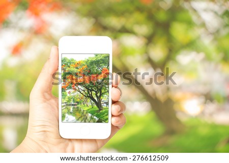 Close up detail view of a tourist woman hand holding a smartphone , taking picture of  beautiful scene of nature. Heart-shaped bokeh defocused background.