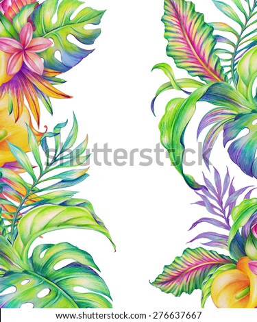 wallpaper with tropical flowers and leaves, colorful jungle nature, foliage, watercolor botanical illustration isolated on white background