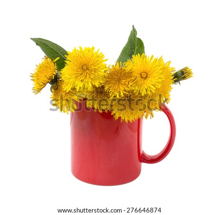 Yellow dandelions in a red cup