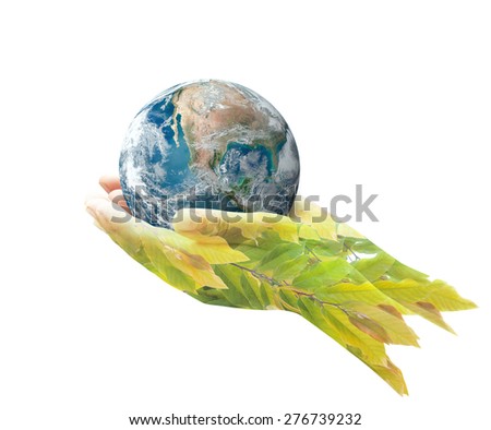 Earth day concept: Planet in human hands and beautiful leaves, isolated on white background. Elements of this image furnished by NASA