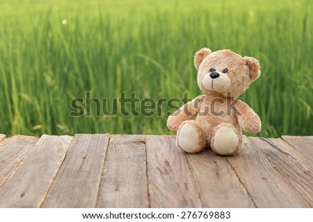 Teddy Bear toy alone on wood