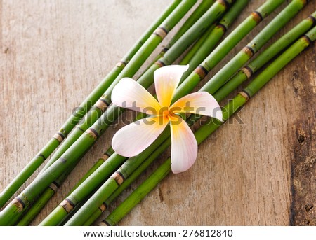 frangipani with thin bamboo grove 