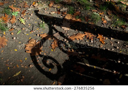 Color picture of acorn under a bench in a park