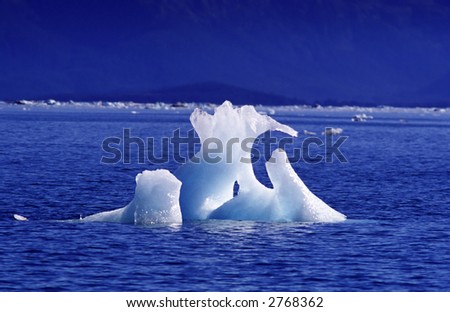 A small iceberg in the bay.