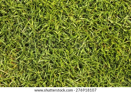 grass floor football Course textures and background.