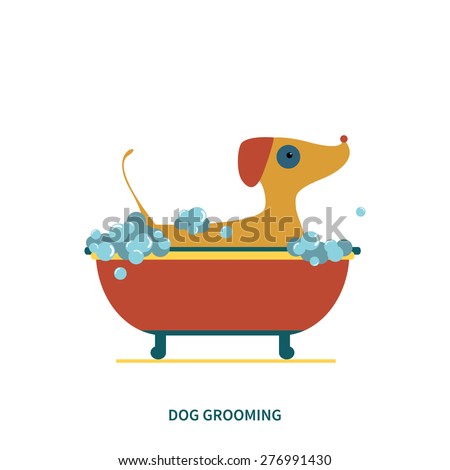 vector illustration of dog grooming. washing pet. can be used for salon logo, banner, poster. flat modern style.