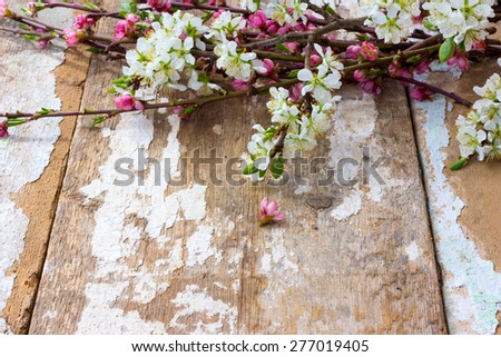 on the boards whitewashed by lime the blossoming branches of plum and a peach, the front view, grunge style and rustic concept. Free space for text. Copy space.
