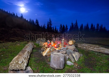 Campfire in the night forest under blue dark sky with many stars