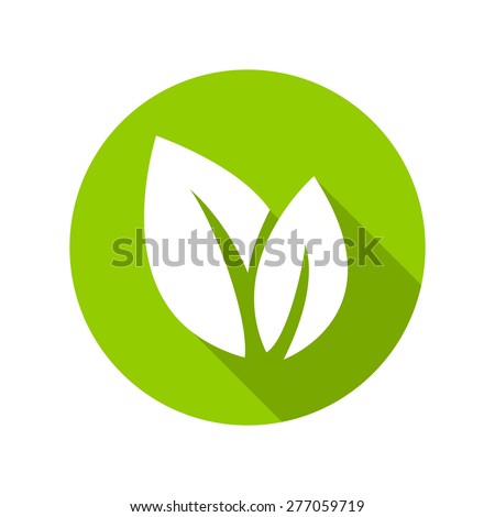 Flat leaves icons. Vector illustration.