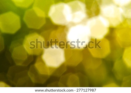 Blurred green and yellow background scene.