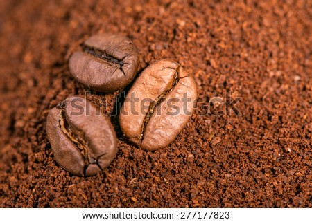 Coffee beans on then heap grounded coffe, macro close-up.