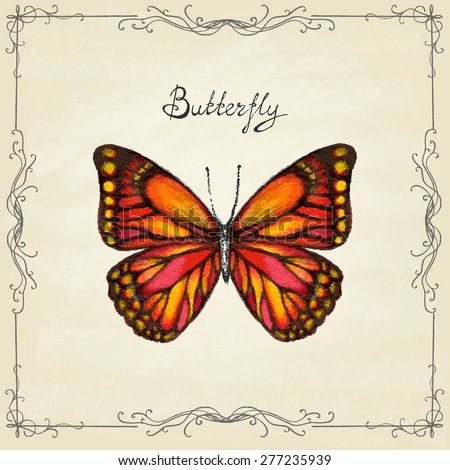 Poster with watercolor butterfly. Vintage style. Vector illustration.