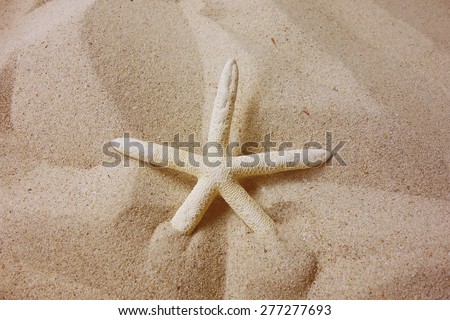 starfish with frame on the beach, vacation memories