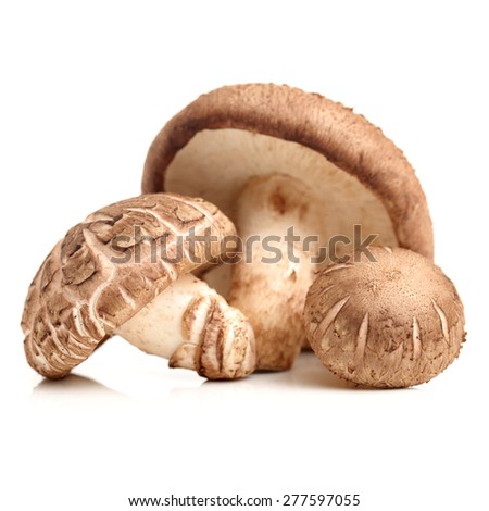 Shiitake mushroom on the White background  Royalty-Free Stock Photo #277597055