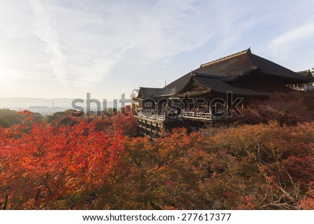 This photo was shot from Kiyomizu Temple in Kyoto, Japan. The maple leaves change to autumn color and the soft sunlight in the evening is so beautiful.