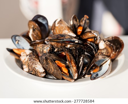 Dish of gourmet mussels garnished with fresh herbs for a tasty seafood meal