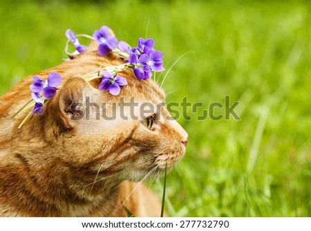 Portrait of Red cat crowned with a chaplet of pansy flowers on nature green background