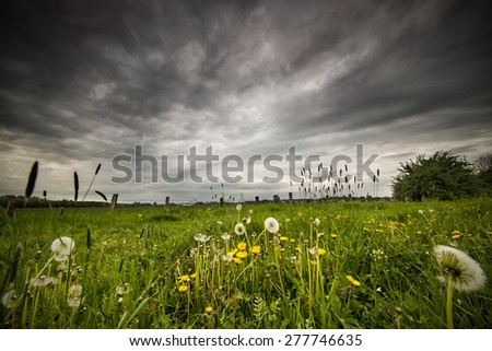 The picture shows a meadow and an approaching storm.