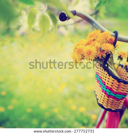 Vintage Bicycle with flowers on summer landscape background  (toned picture) 