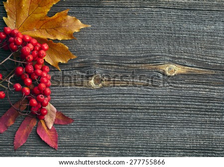 Autumn leaves  on wooden background top view texture