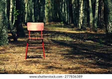 Lonely red chair in the pine wood in sunny spring day