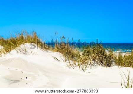 Grass sand dune beach sea view, Leba, Baltic Sea, Poland 
