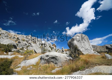 The Castle hill, Southern Alps, Arthur's Pass, New Zealand