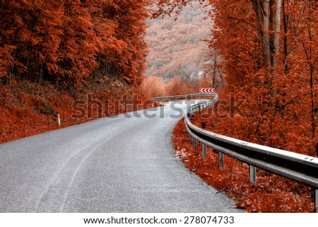 asphalt road through fall colors wood