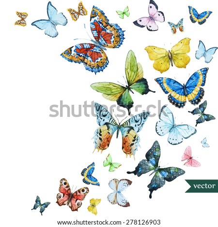 watercolor flying butterflies, vector