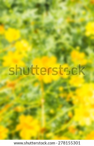 Flower Blurred image Photo,Background