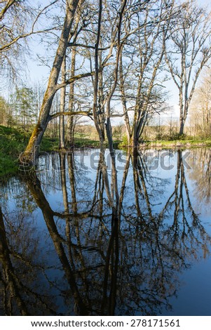 scenic and beautiful reflections of trees and clouds in water of the river
