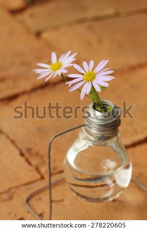 White flowers in a vase on a brown background.