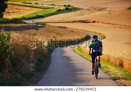 Biker riding on cycling road through summer agricultural fields which are full of gold wheat Royalty-Free Stock Photo #278239451