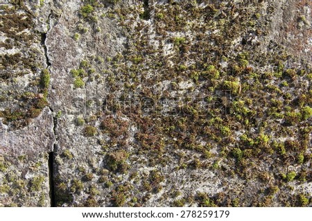  the surface of a stone wall covered with moss, texture