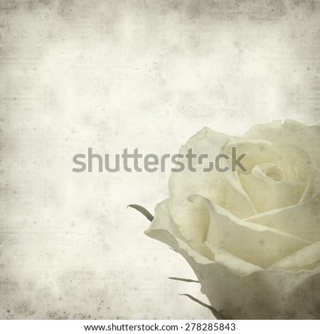 textured old paper background with pale yellow rose flower