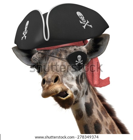 Funny animal picture of a cool giraffe wearing a pirate hat and eyepatch with crossbones